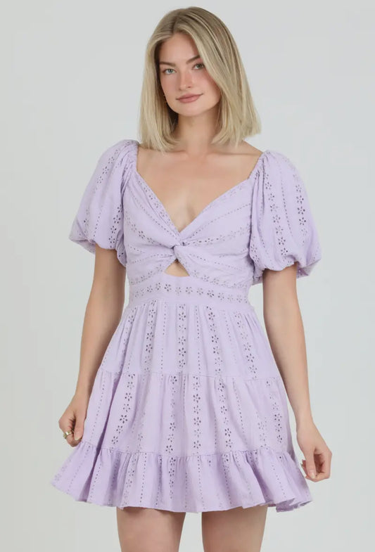 Eyelet Embroidered Sleeve Dress